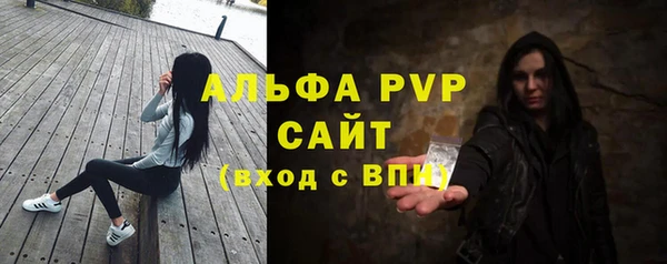 СК Алексин