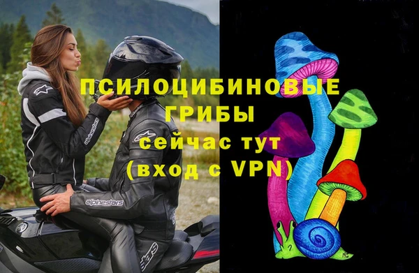 Альфа ПВП Алексеевка