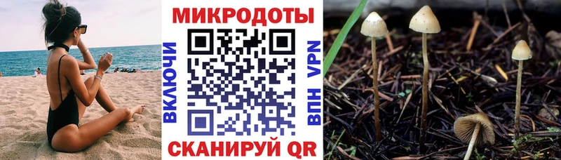 Псилоцибиновые грибы Cubensis  Комсомольск 